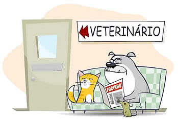 20060529131849-veterinario2.jpg