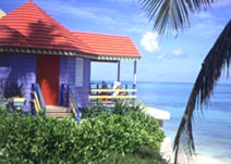 20061222083512-bluehut.jpg